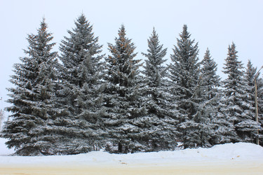 Similar image 21858209