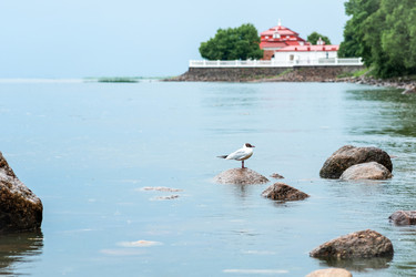 Similar image 21857701