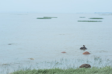 Similar image 21857705