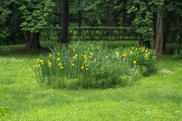 Similar image 21857706