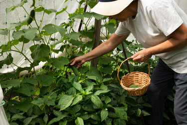 Similar image 21858543