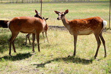 Similar image 21858544