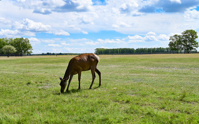 Similar image 21858546