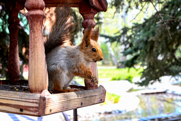 Similar image 21858550