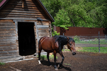 Similar image 21858553