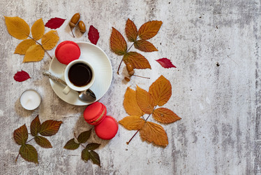 Similar image 21858554