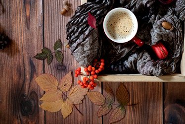 Similar image 21858555