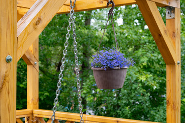 Similar image 21858556