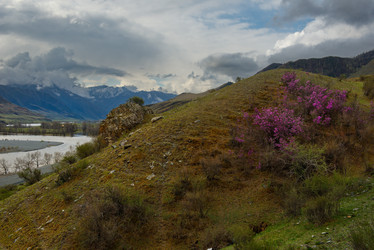 Similar image 21868357