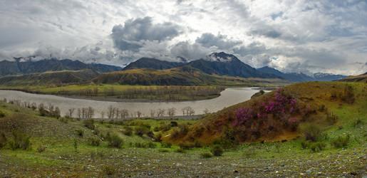 Similar image 21868360