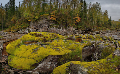 Similar image 21872484