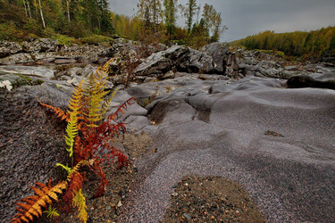 Similar image 21872489