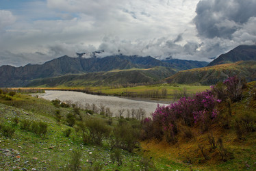 Similar image 21868366