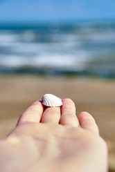 Similar image 21857708