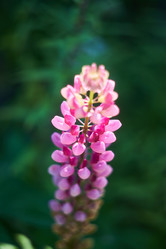 Similar image 21857713