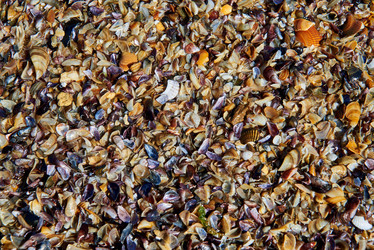 Similar image 21857720