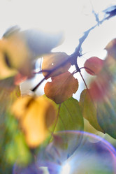 Similar image 21857728