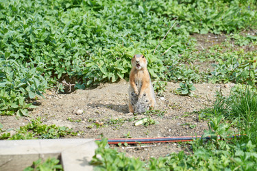 Similar image 21857729