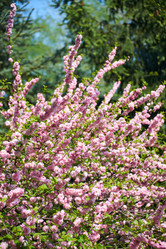 Similar image 21857735