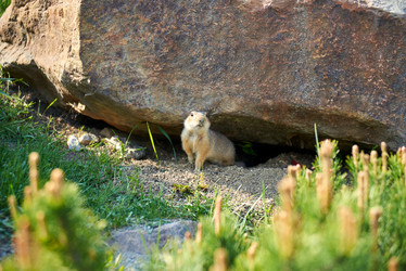 Similar image 21857736