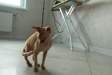 Similar image 21866170