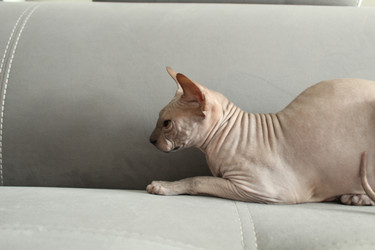 Similar image 21866172