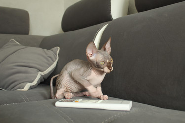 Similar image 21866175