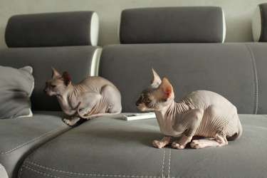 Similar image 21866177