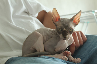 Similar image 21866181