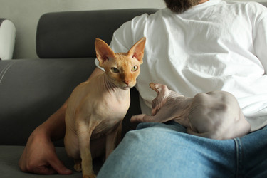 Similar image 21866182