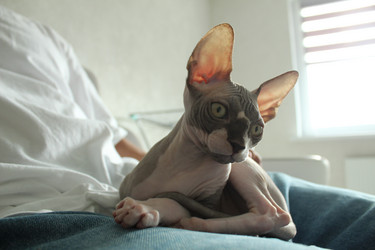 Similar image 21866183