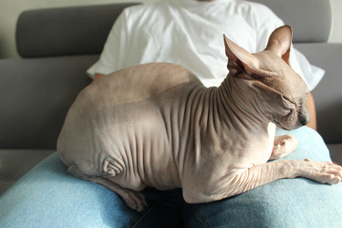 Similar image 21866185