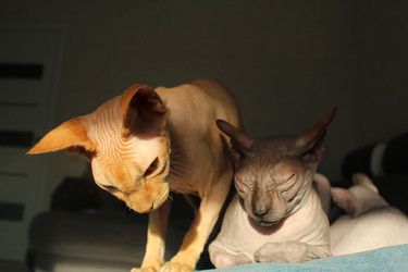 Similar image 21866188