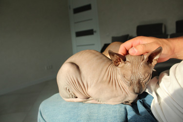 Similar image 21866191