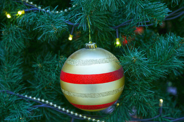 Similar image 21857496