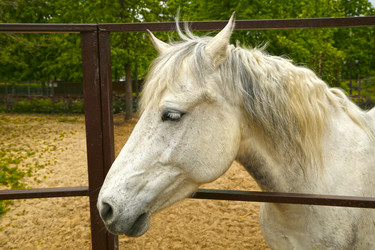 Similar image 21857501