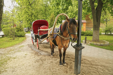 Similar image 21857502