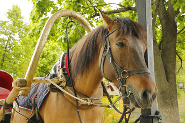 Similar image 21857503