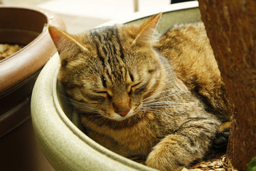 Similar image 21857504