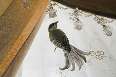 Similar image 21857508