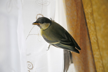 Similar image 21857509