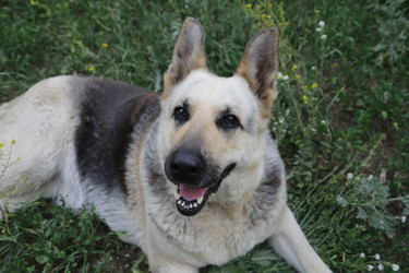 Similar image 21857510