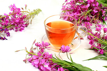 Similar image 21865493