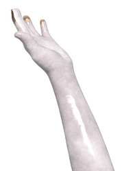 Similar image 21866227