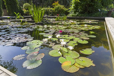 Similar image 21857512