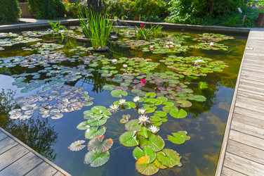 Similar image 21857513