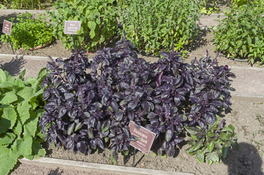 Similar image 21857515