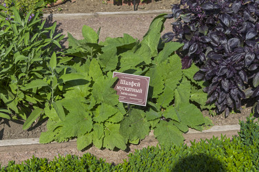 Similar image 21857516