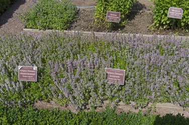 Similar image 21857517