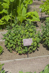 Similar image 21857518